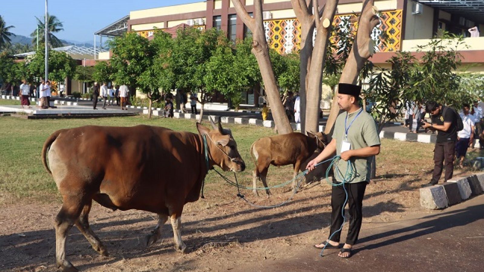 Manifestasi Ketakwaan, Kapolres Lombok Utara pun Salurkan Hewan Kurban