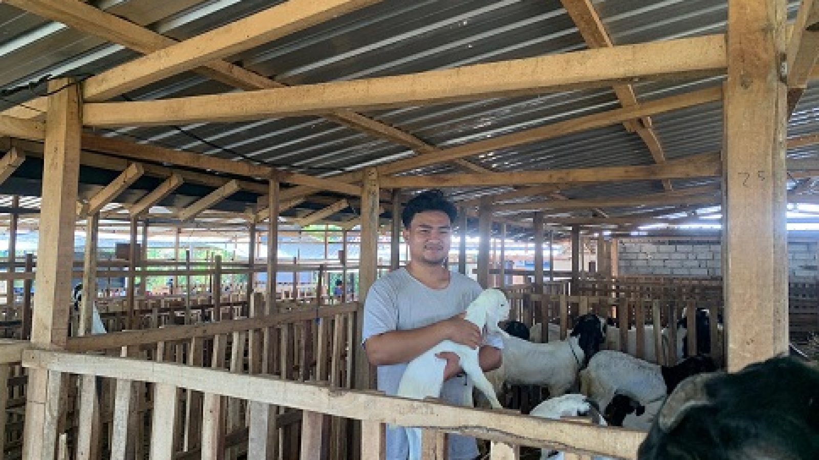 Berkah Hari Raya Kurban, Peternak Kambing di Lombok Timur Raup Cuan Miliaran Rupiah