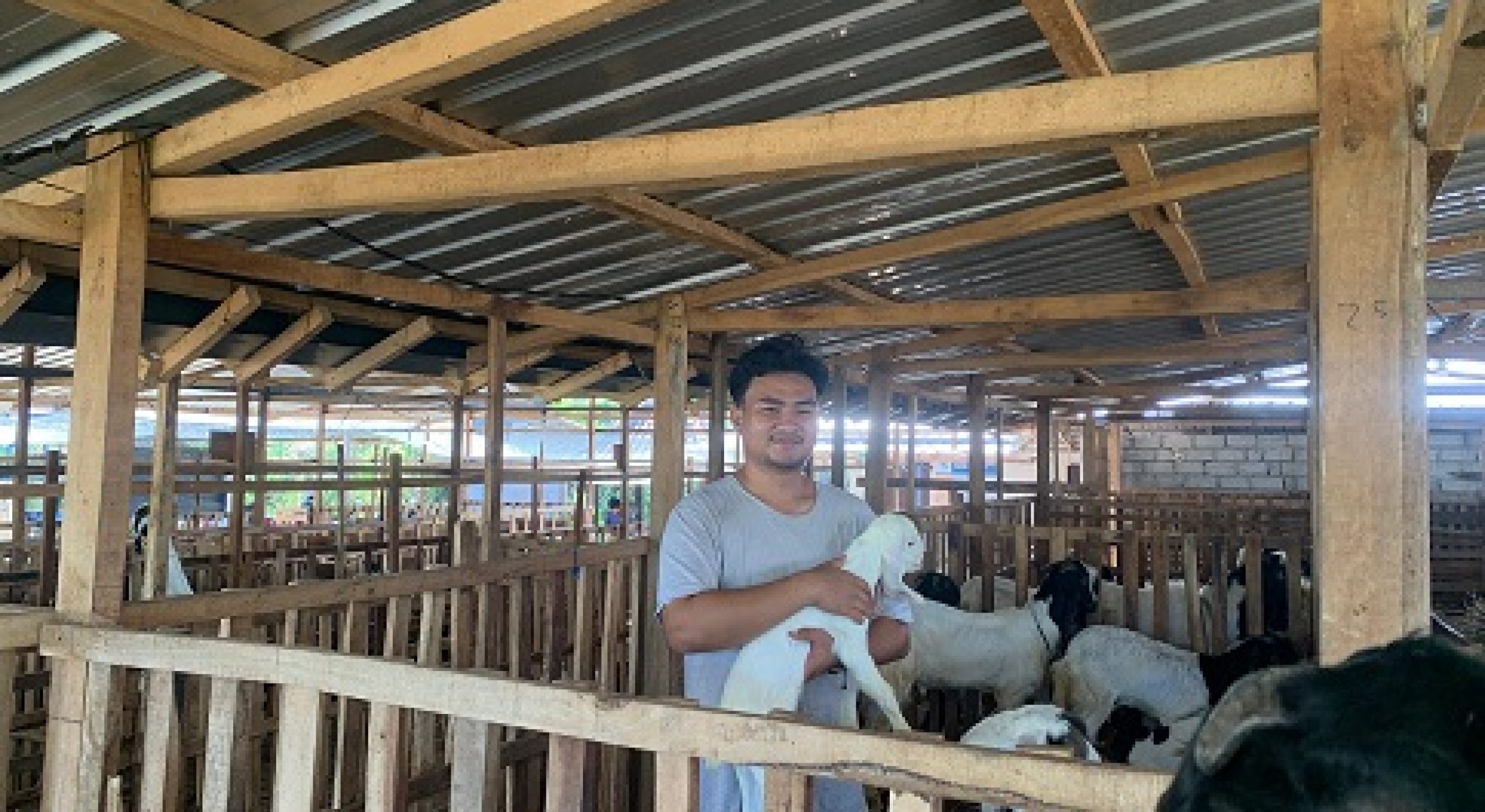 Berkah Hari Raya Kurban, Peternak Kambing di Lombok Timur Raup Cuan Miliaran Rupiah