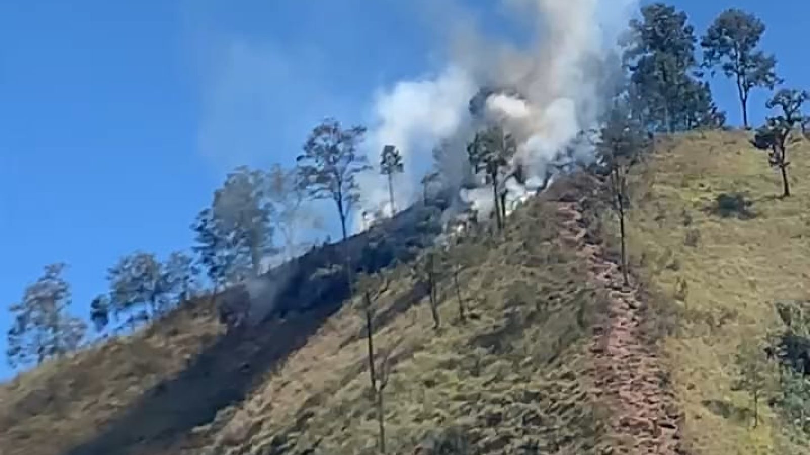 Puncak Bukit Gedong Sembalun Terbakar