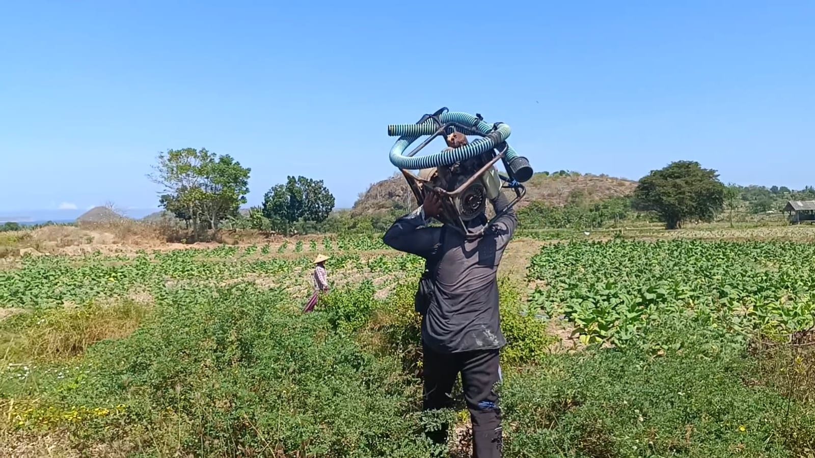 Lombok Timur Siaga Darurat Kekeringan, 226 Ribu Jiwa Mulai Terdampak