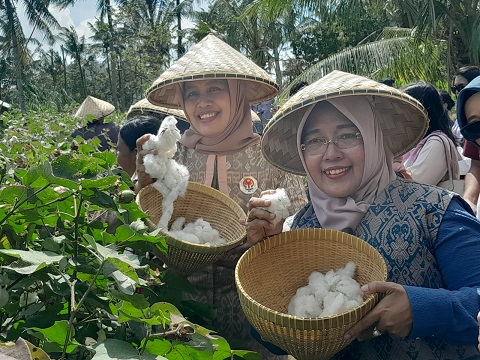 Perkebunan Kapas Bidadariku, Wujudkan Kedaulatan Sandang Indonesia