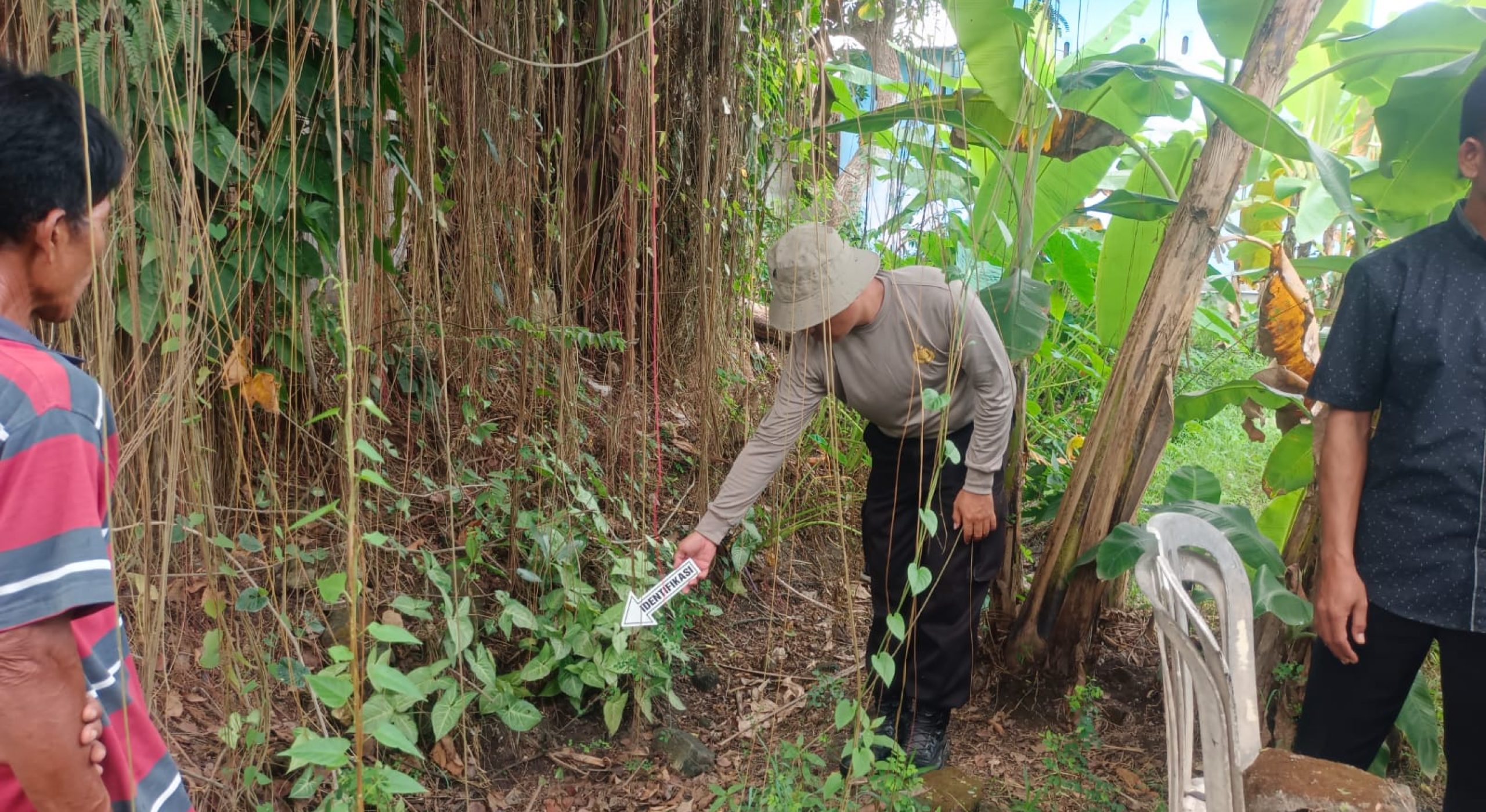 Tega! Bayi Perempuan Masih Hidup Dibuang di Kebun