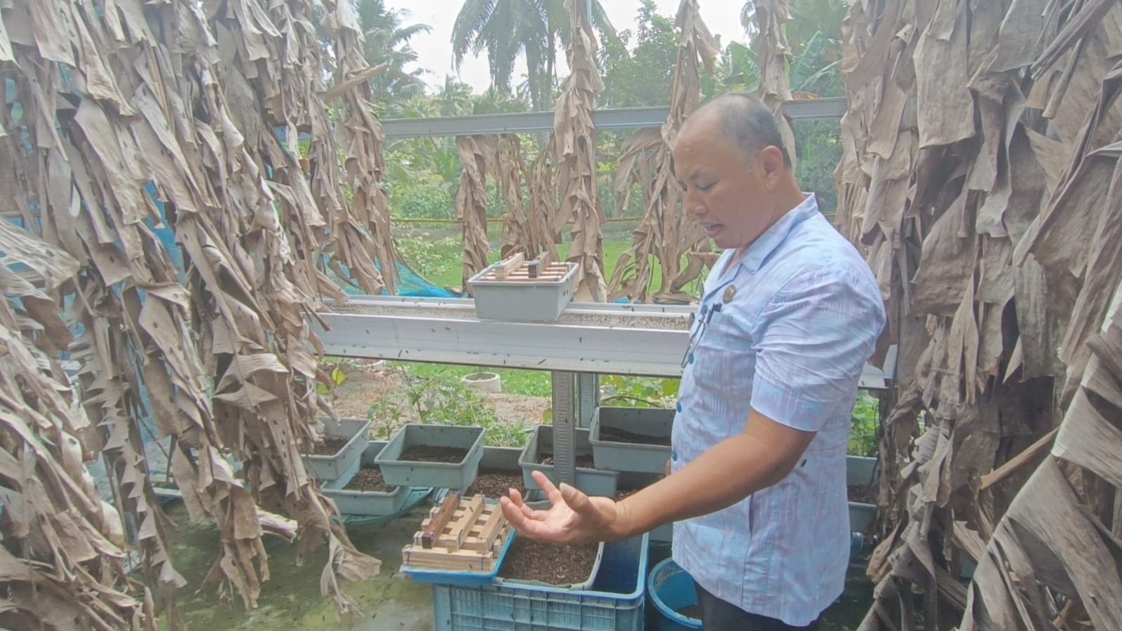 Buat Rumah Maggot, Kelola Sampah Jadi Rupiah