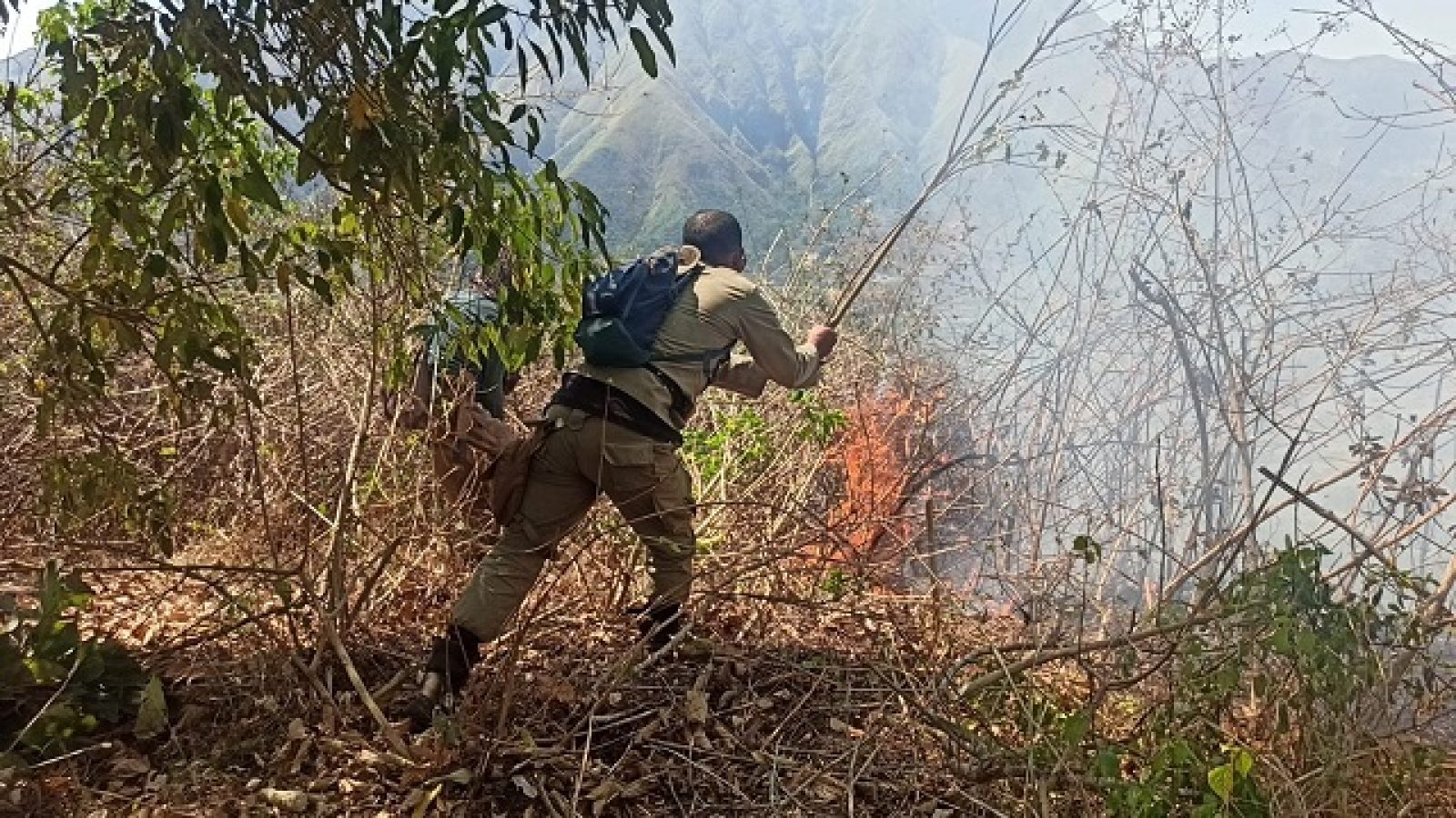 Kebakaran  Bukit Anak Dara Meluas, 94 Hektar Lahan Dilalap Api