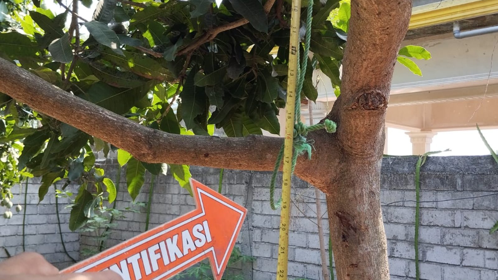 Pegawai Farmasi Gantung Diri Diduga karena Asmara