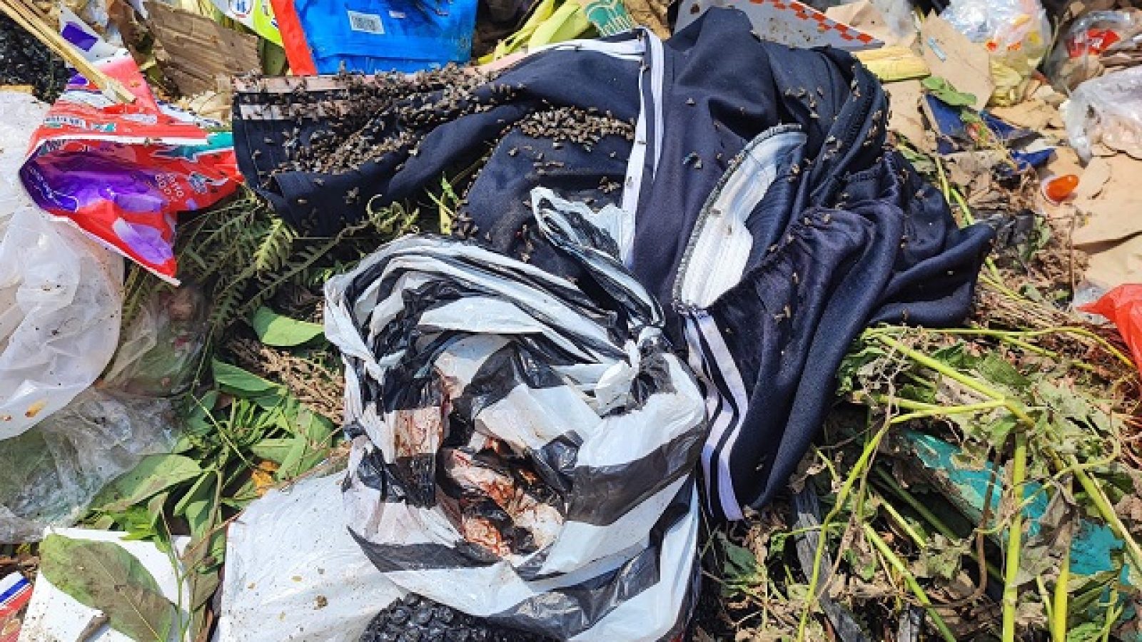 Bayi Dibuang di TPA  Dusun Jorok Tiram,  Polres Sumbawa Barat Lakukan Penyelidikan 