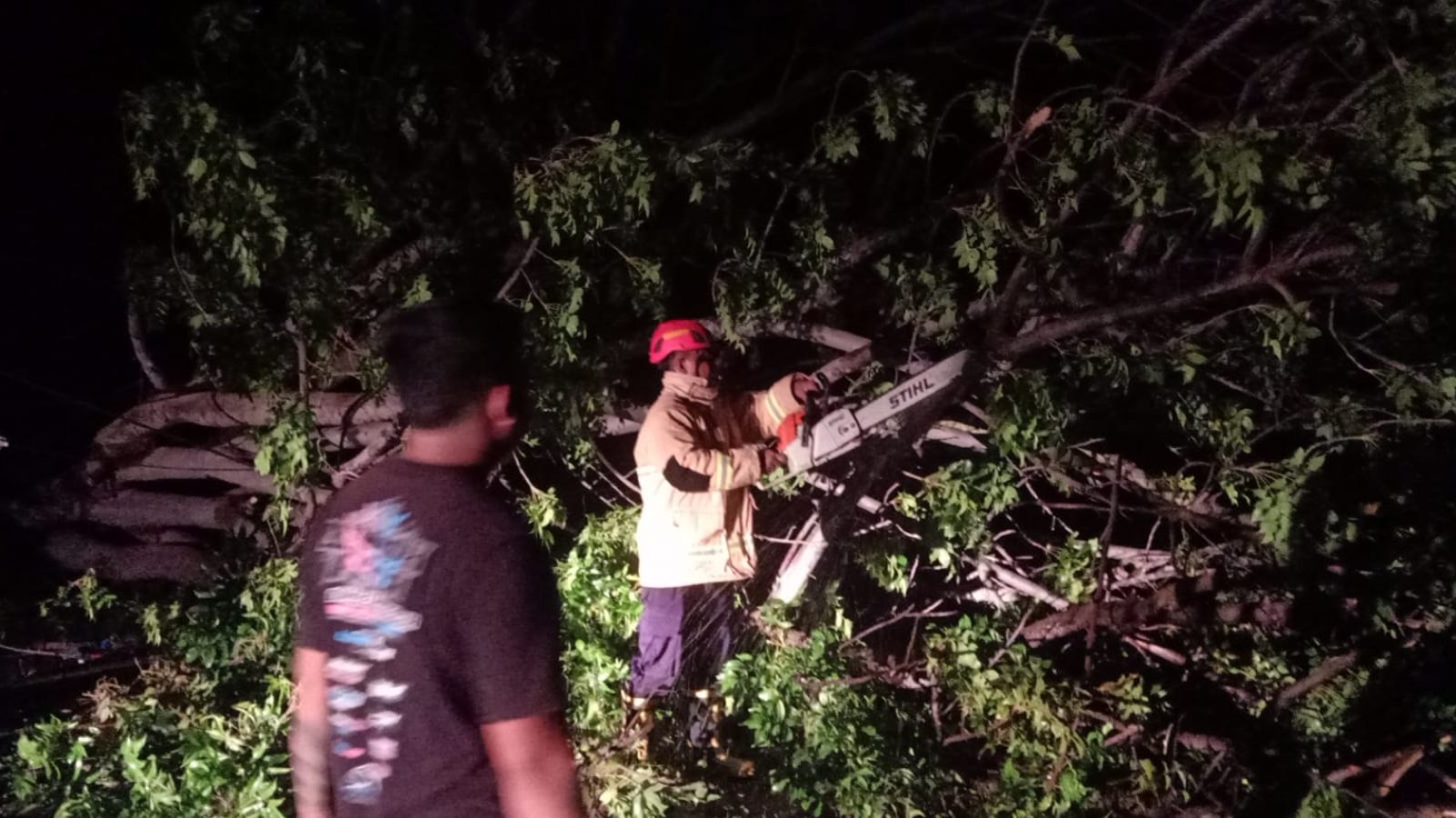 Polsek Kayangan Gandeng Damkar Evakuasi Pohon Tumbang