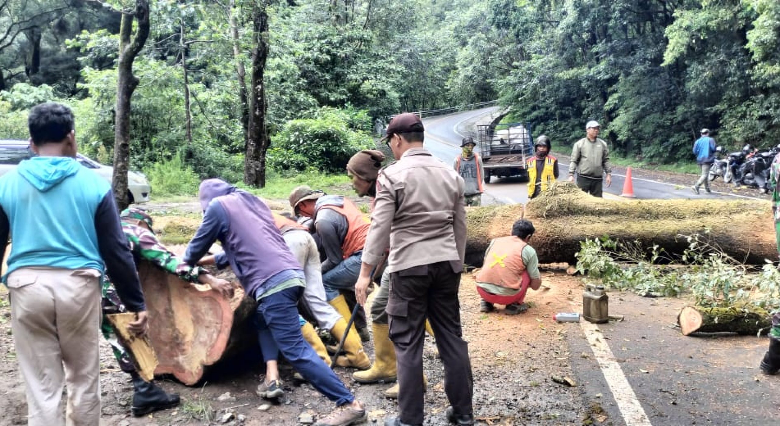 Selama Sepekan, 7 Pohon Tumbang Akibat Cuaca Ekstrem di Lombok