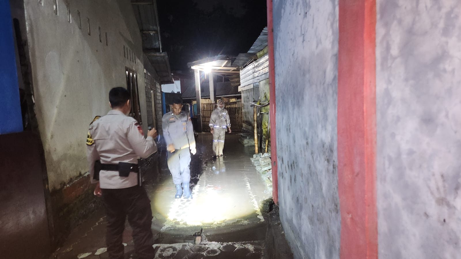 Ular Python Sepanjang 3 Meter Berkeliaran di Dapur Rumah Warga Terara Lombok Timur