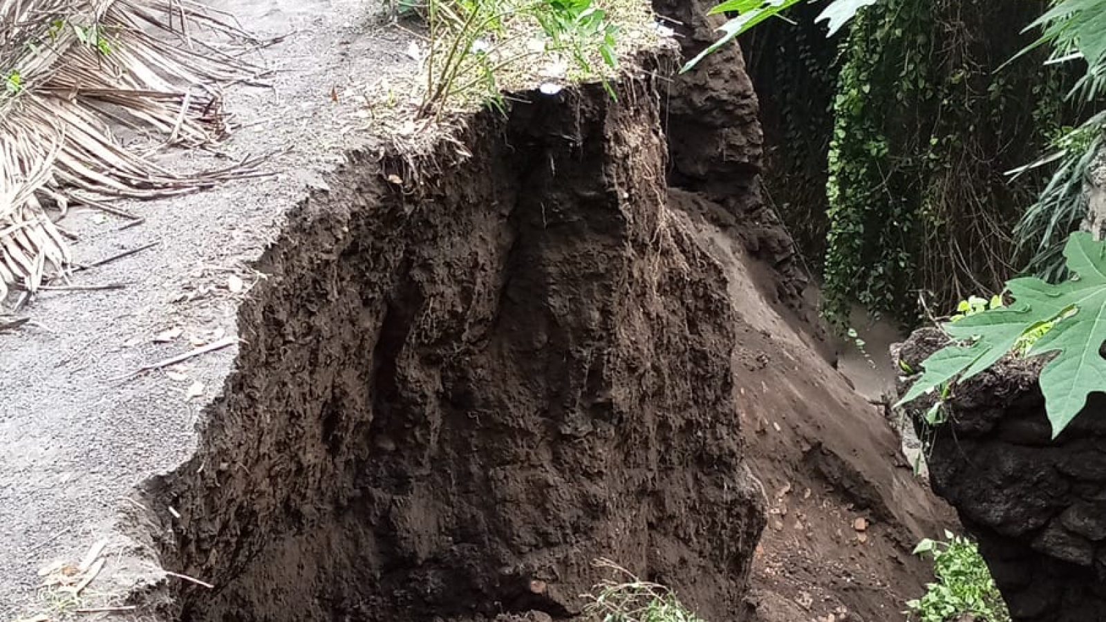 Diguyur Hujan Seharian, Jembatan Kebon Erat Kelayu Longsor