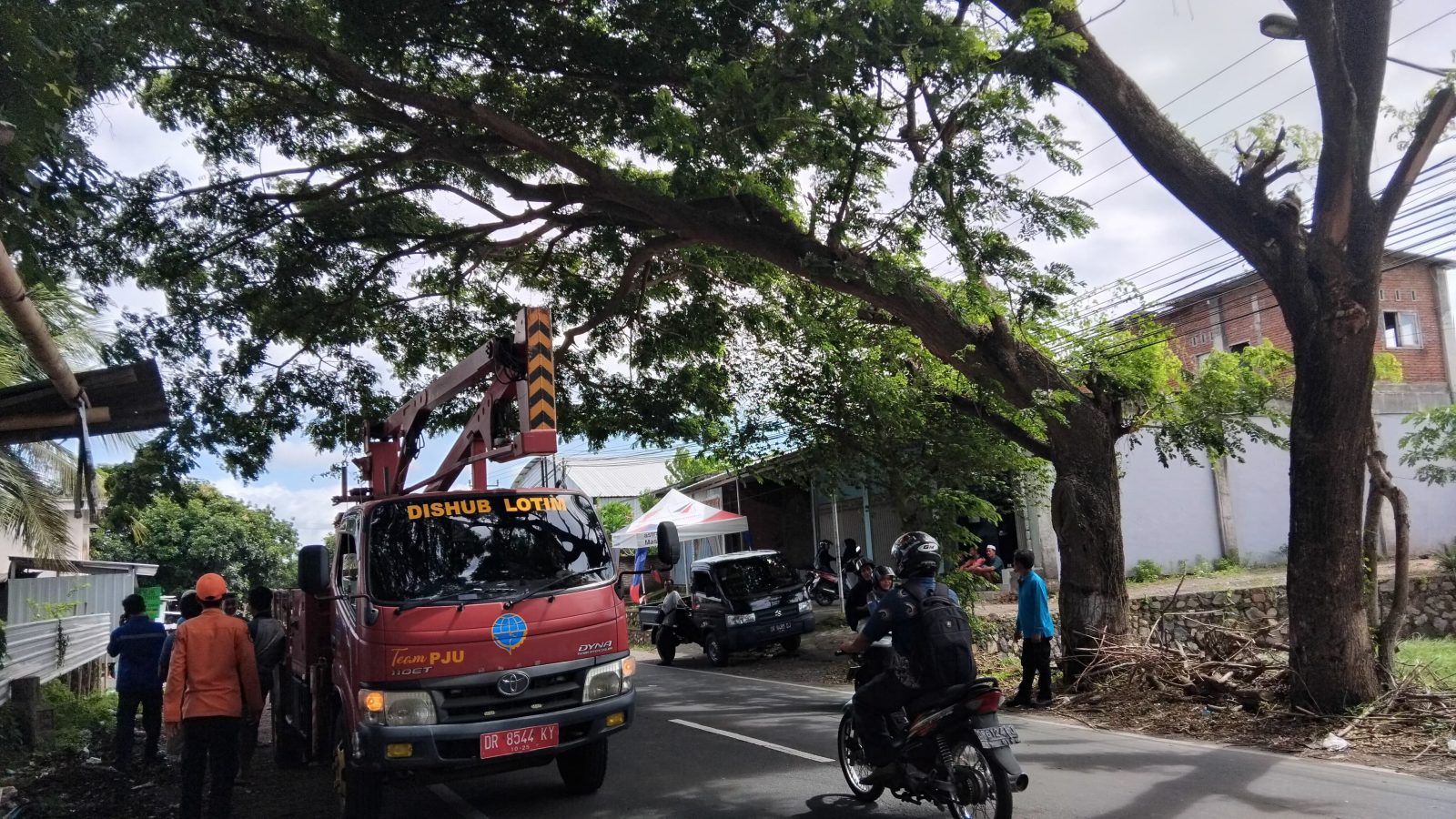 BPBD dan LHK Lombok Timur Turun Pangkas Pohon Rawan Tumbang