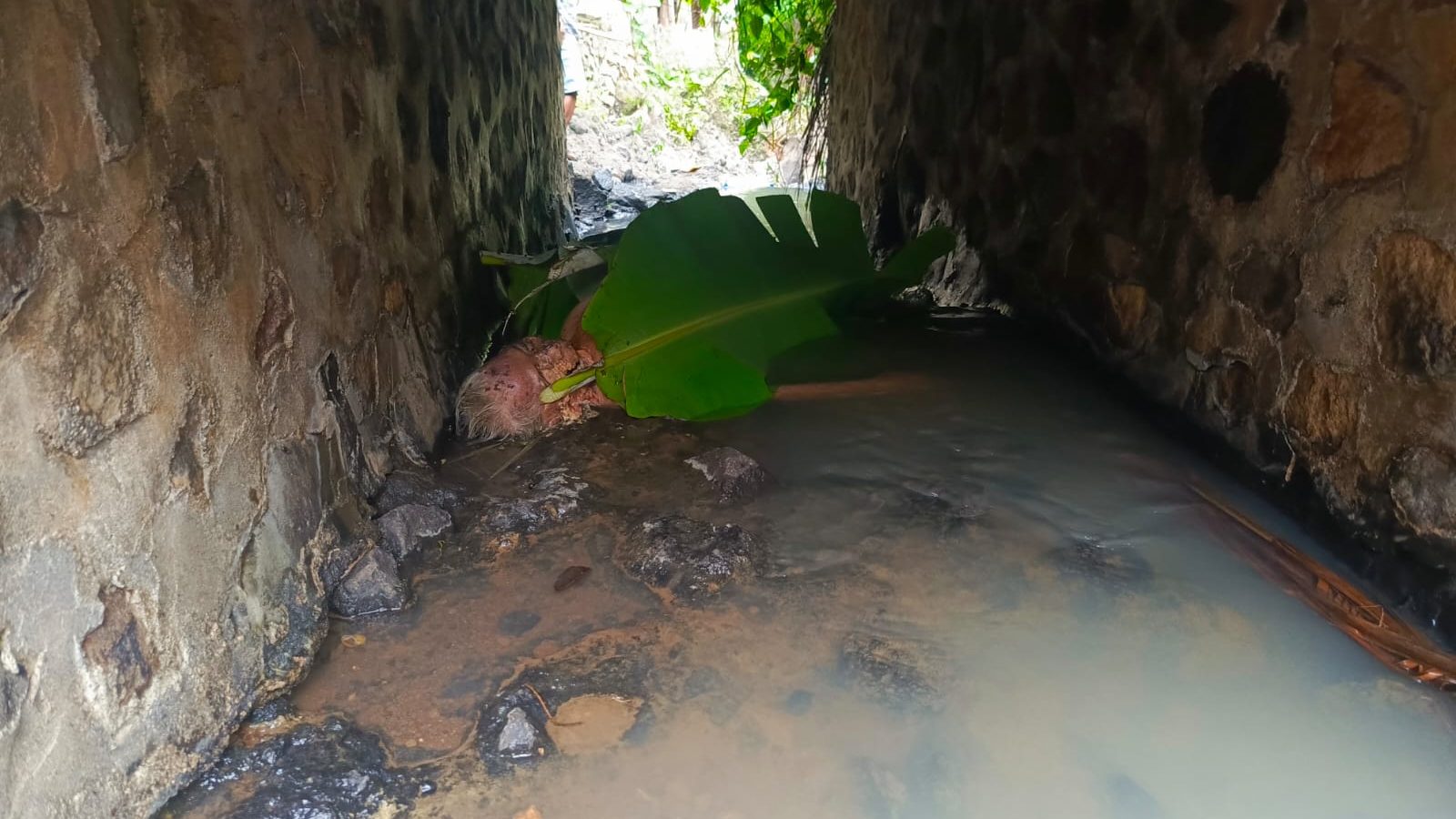 Nenek 90 Tahun Ditemukan Tewas Membusuk di Kolong Jembatan