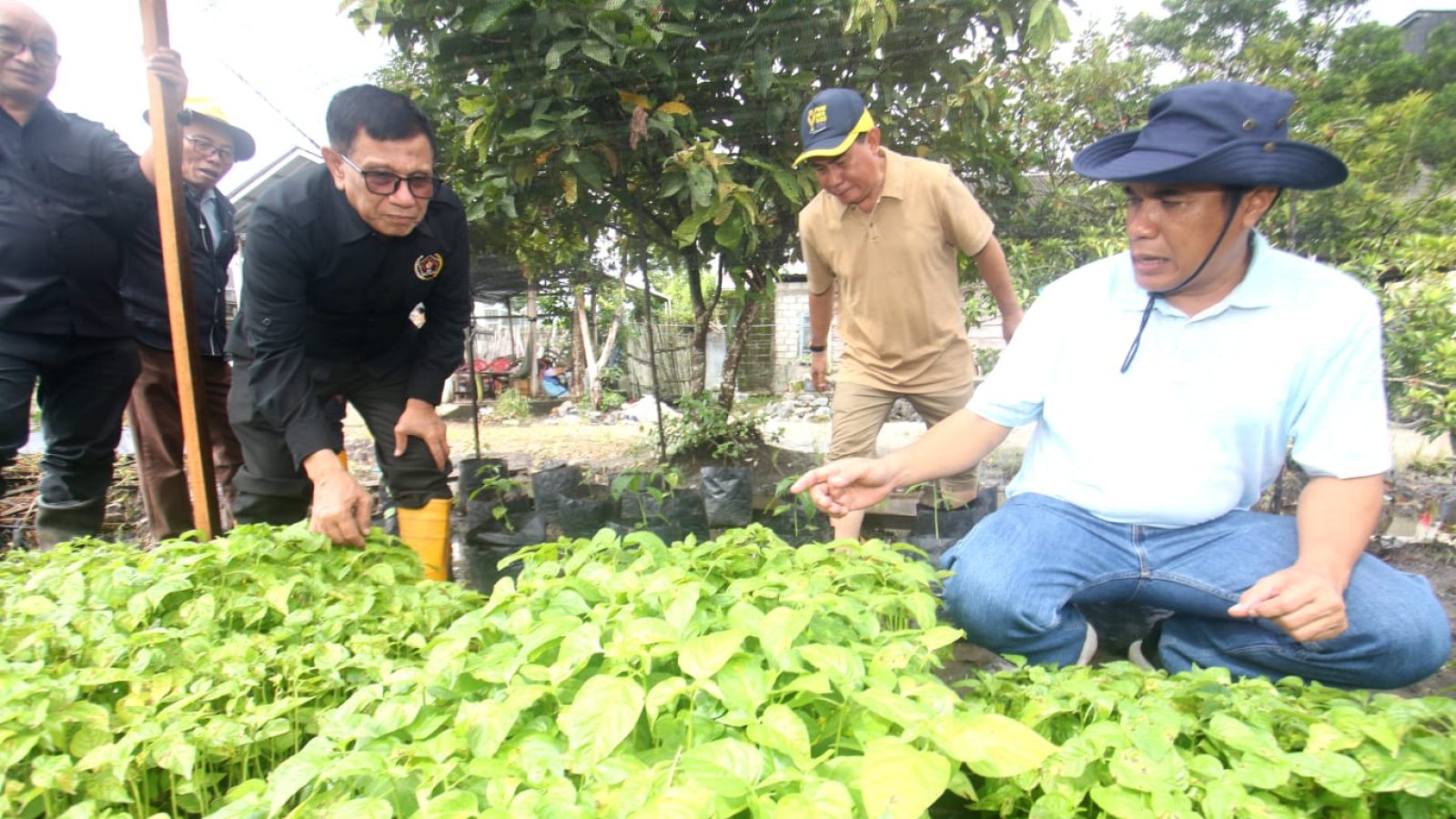 Wartawan Menanam Dukung Ketahanan Pangan, Ketua PWI Pusat Beri Apresiasi