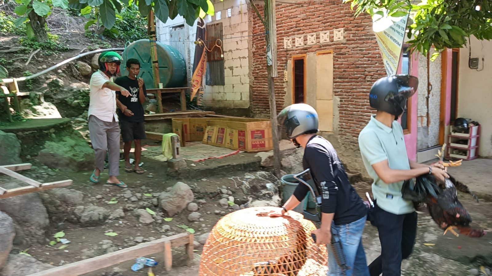 Pelaku Kabur, Polsek Rasanae Barat Tertibkan  Sabung Ayam di Tiga Lokasi