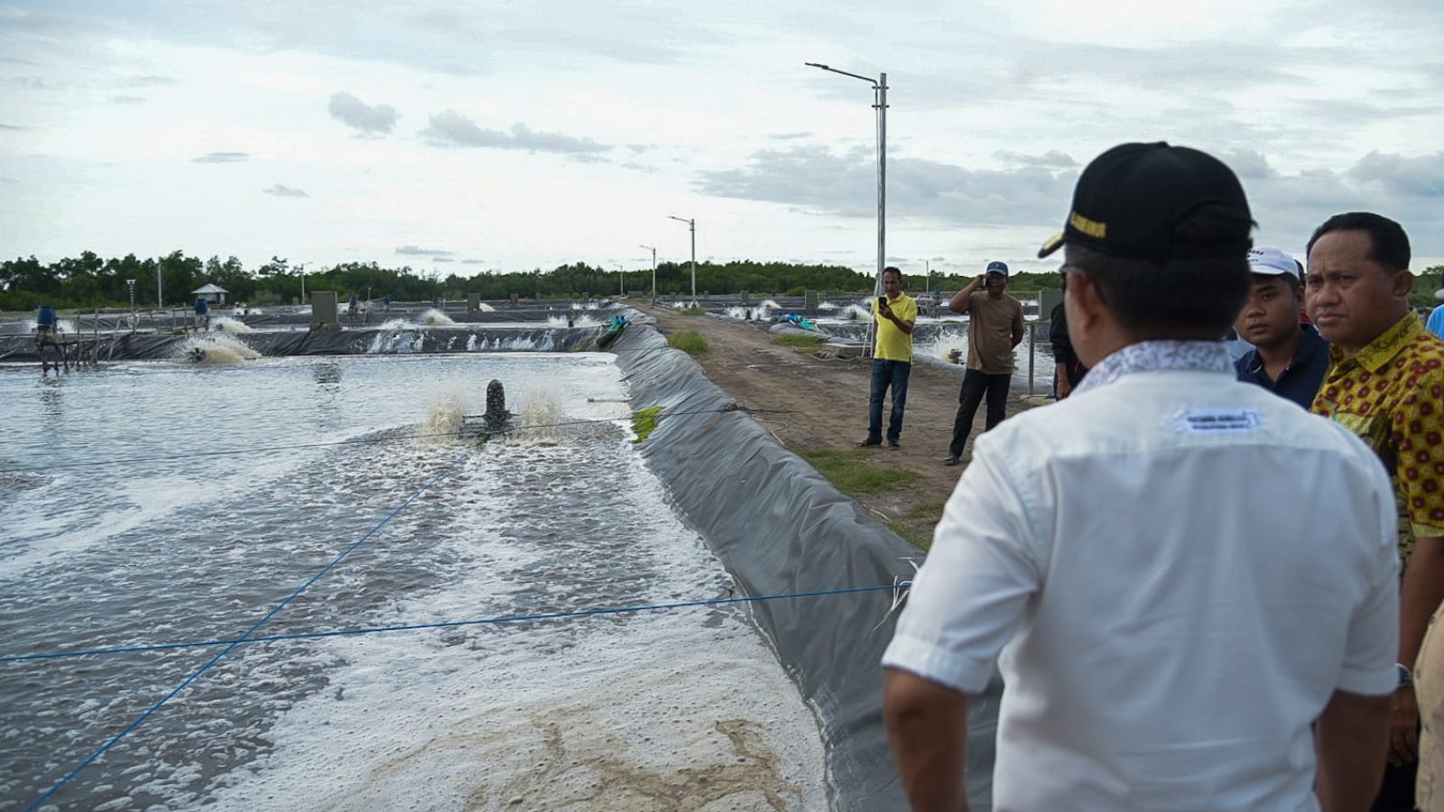 Panen Udang di Sumbawa, Pj Gubernur Nilai Menuju Kedaulatan Pangan