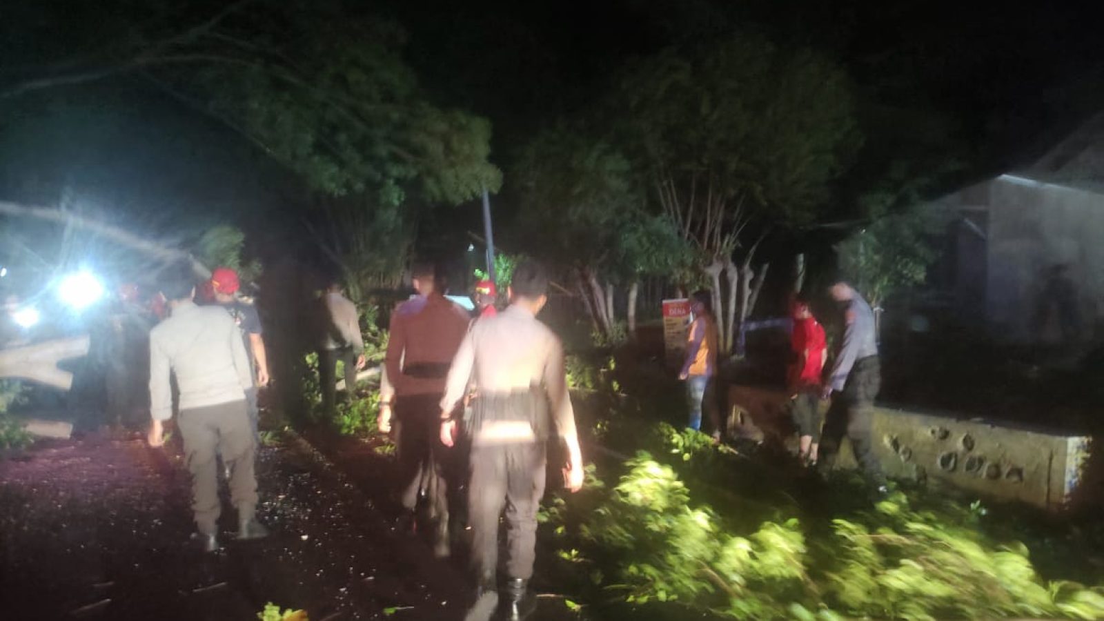 Polsek Gangga Gandeng Damkar Evakuasi Pohon Tumbang