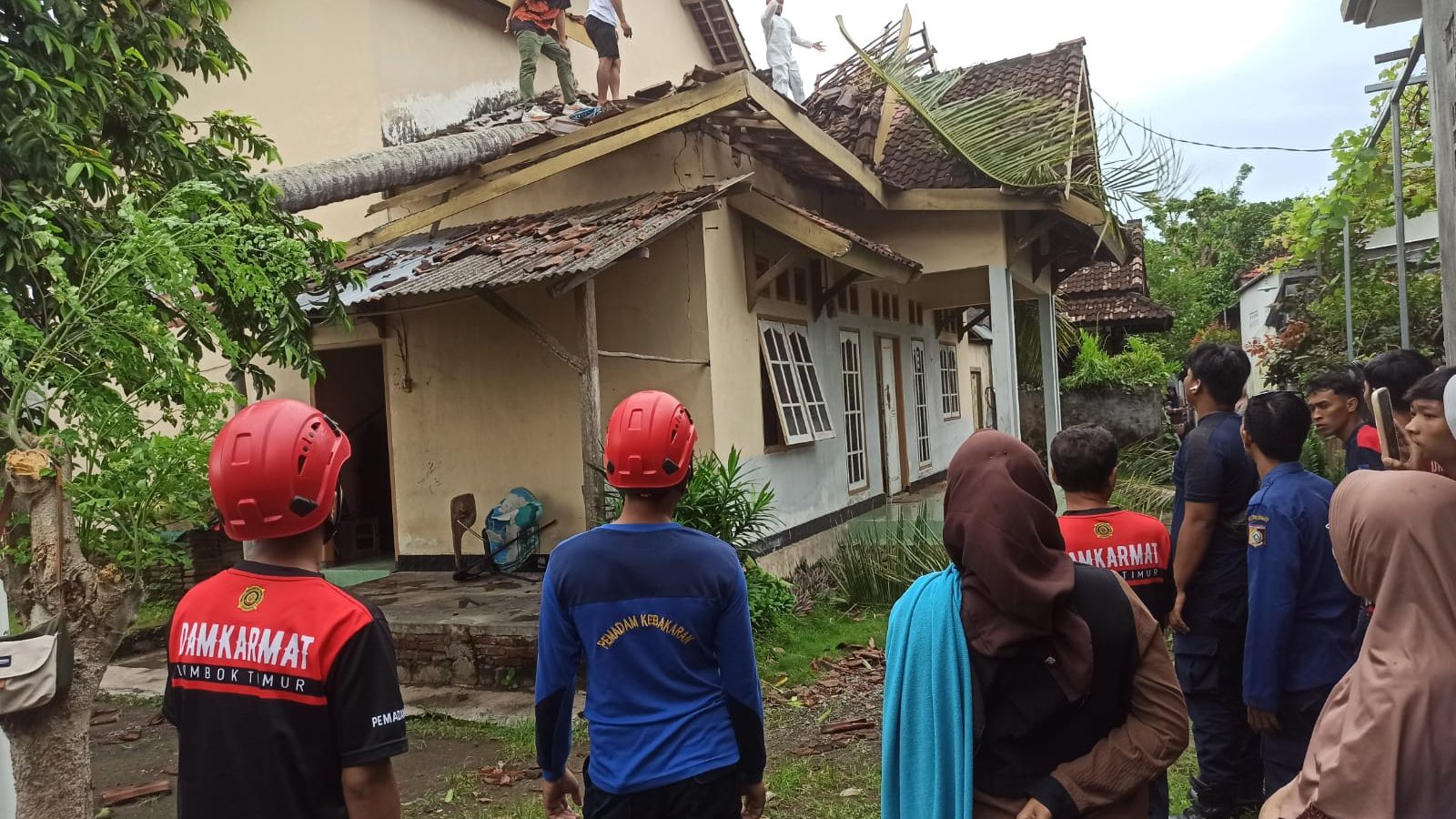 Pohon Kelapa Tumbang Timpa Rumah Warga di Lombok Timur