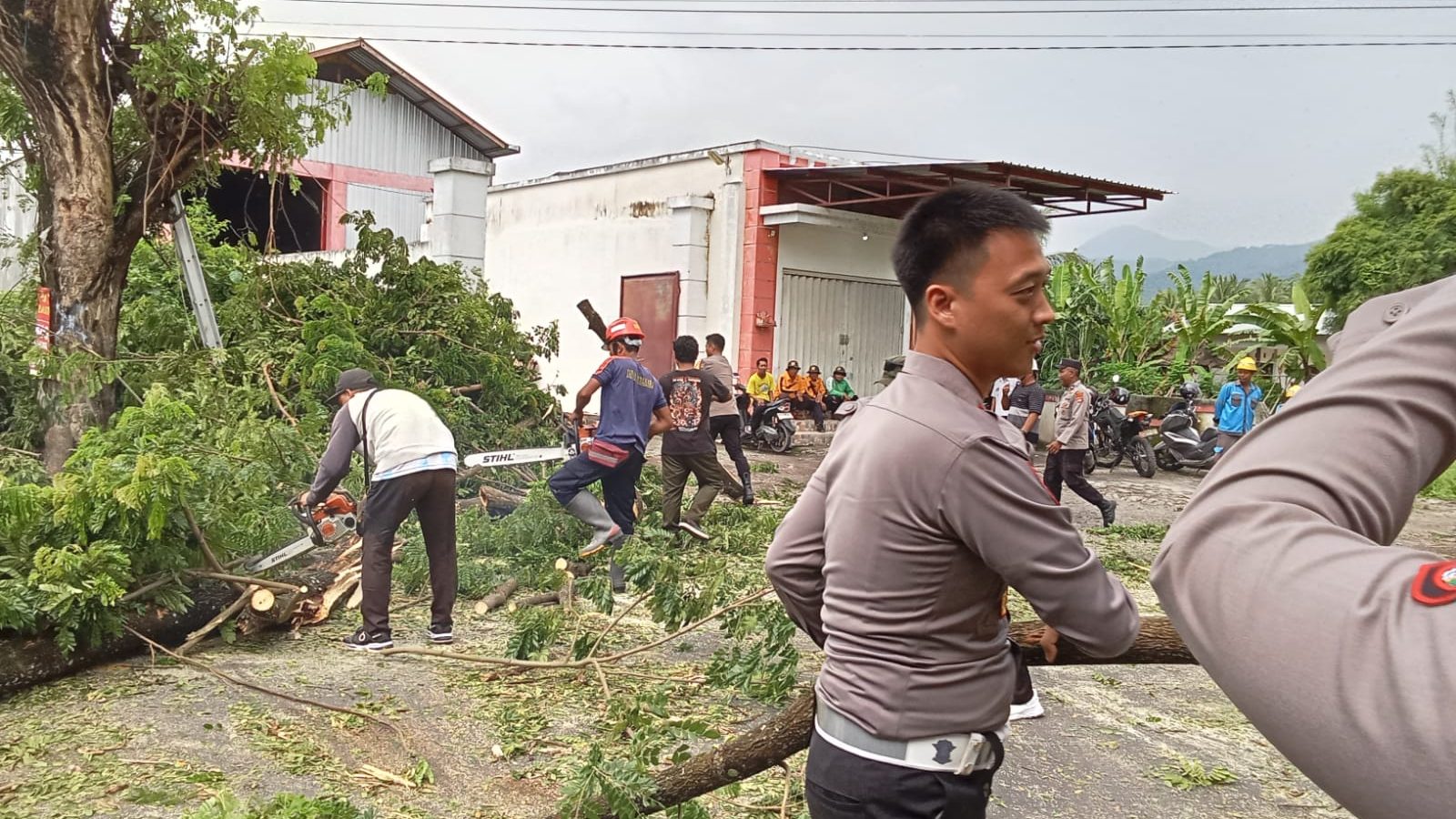 Ketika Kapolres Lombok Utara Bantu Warga Bersihkan Ranting Pohon