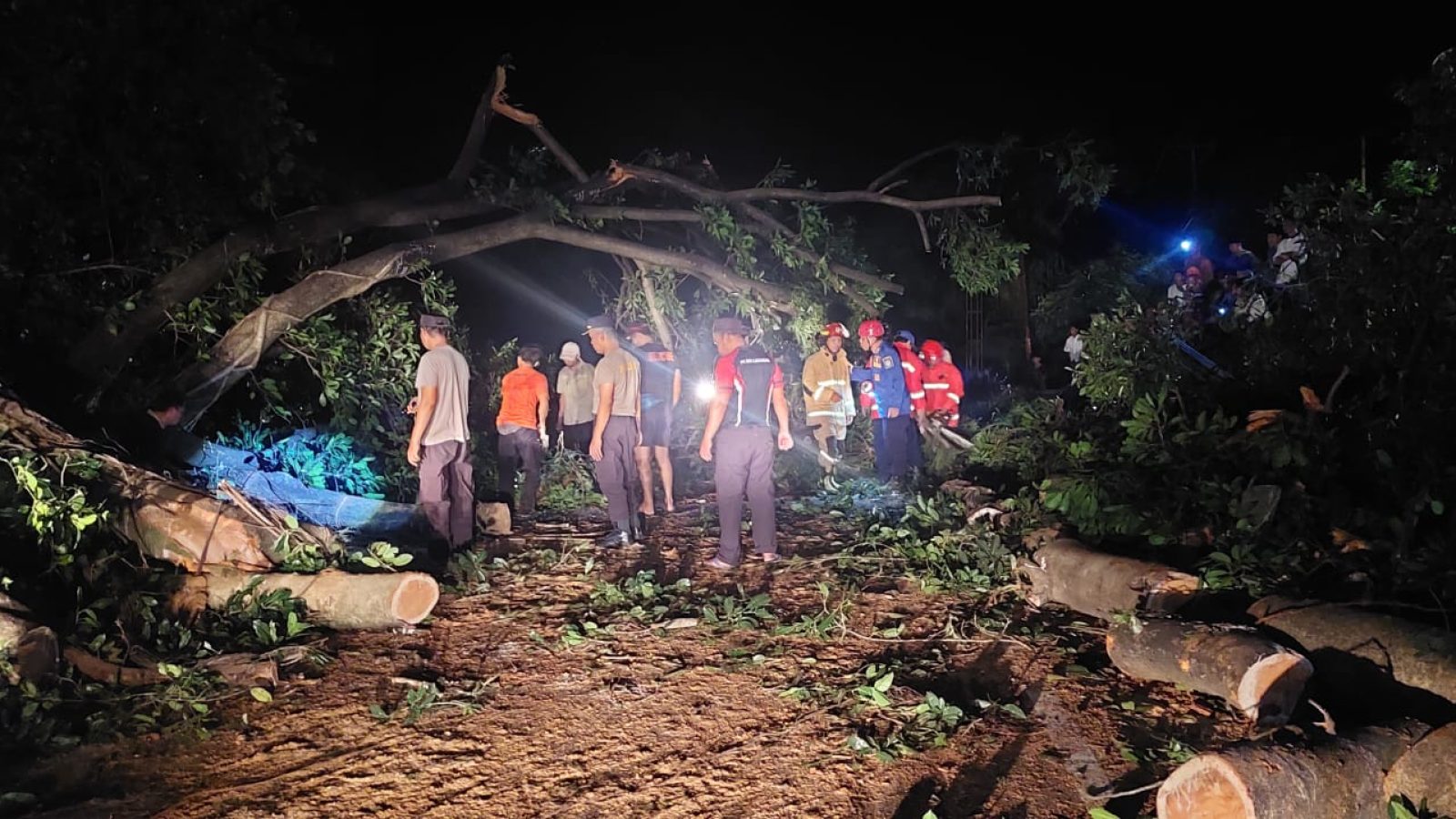 Polsek Kayangan Evakuasi Pohon Tumbang di Selengen