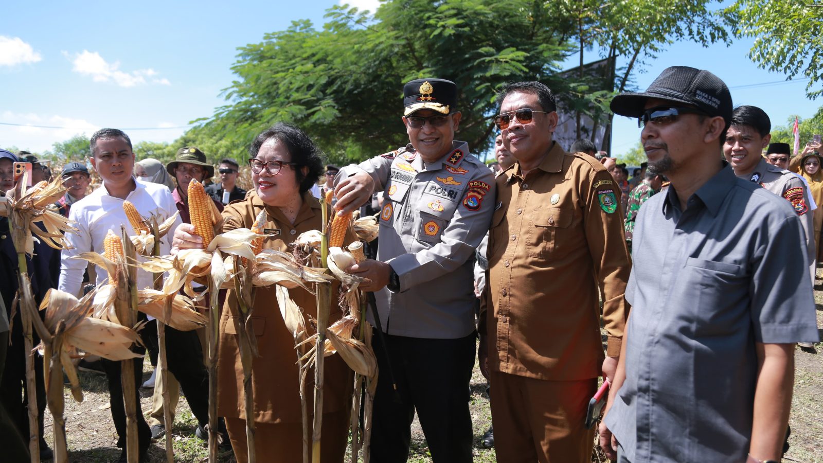 Kapolda NTB dan Mentan RI Rayakan Panen Bersama Warga Sumbawa