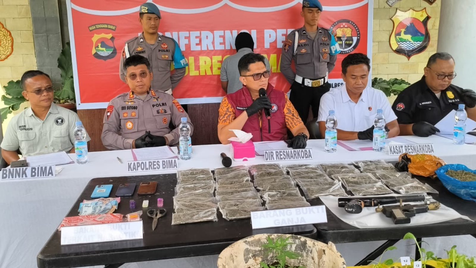 Polres Bima Ungkap Tanaman Ganja 