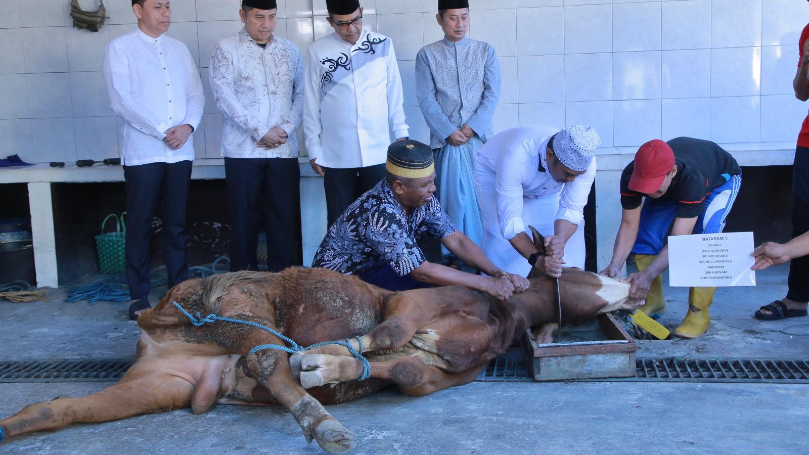 Kapolda NTB Serahkan Hewan Qurban di Masjid Baitussalam