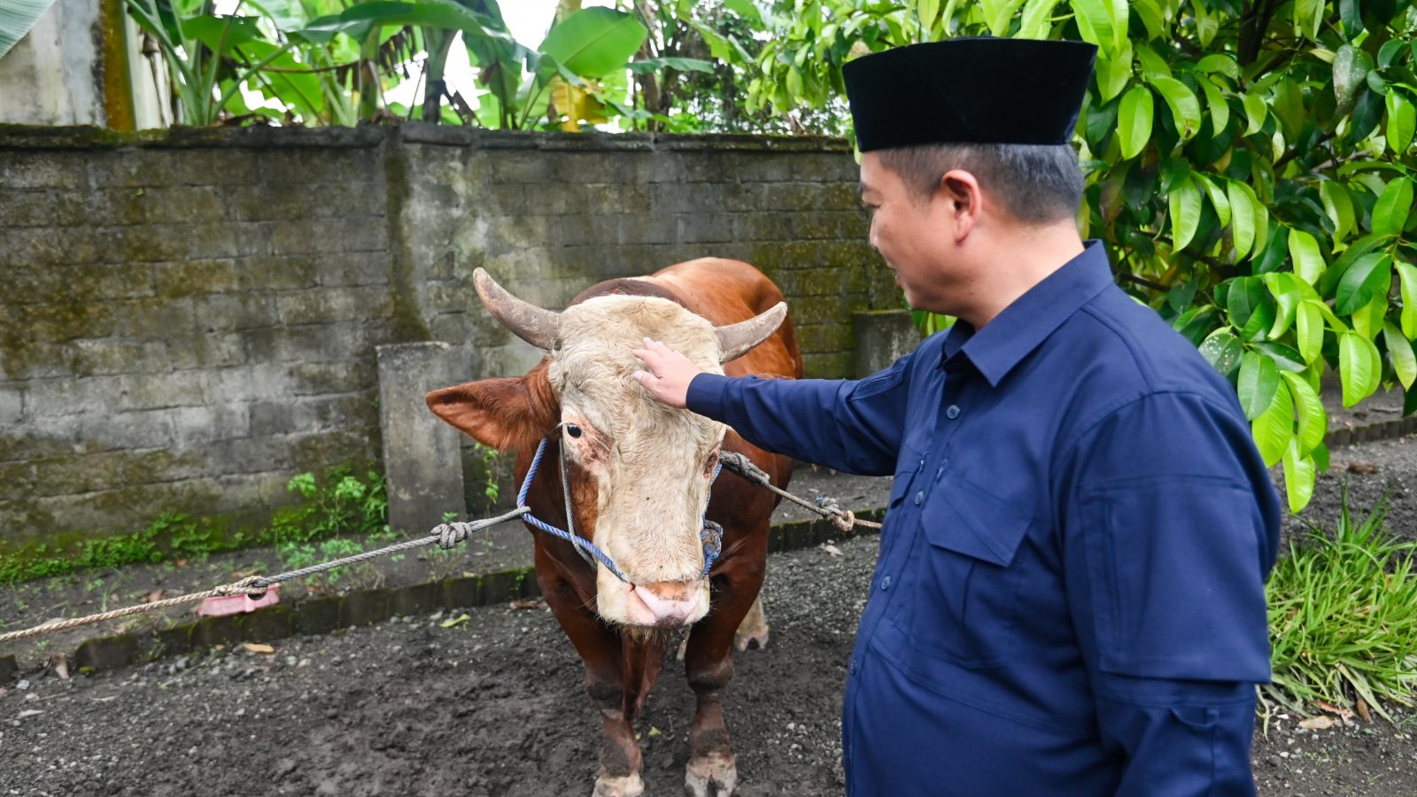 Gubernur NTB Serahkan Hewan Kurban Presiden