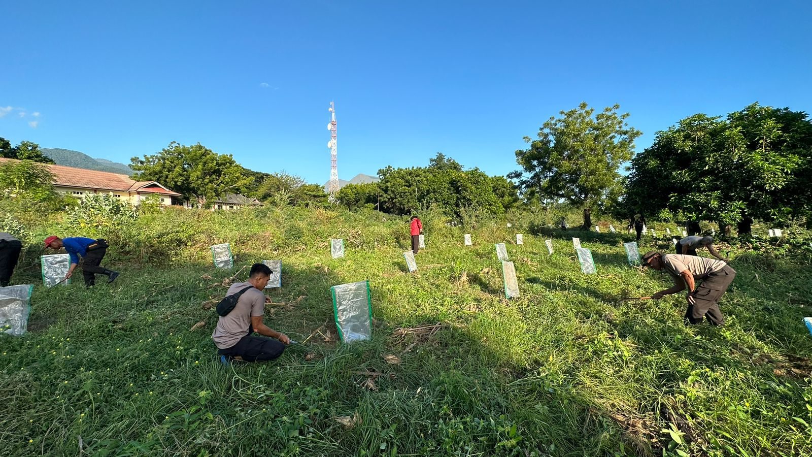 SPN Belanting Tanam Bibit Pepaya Dukung Ketahanan Pangan