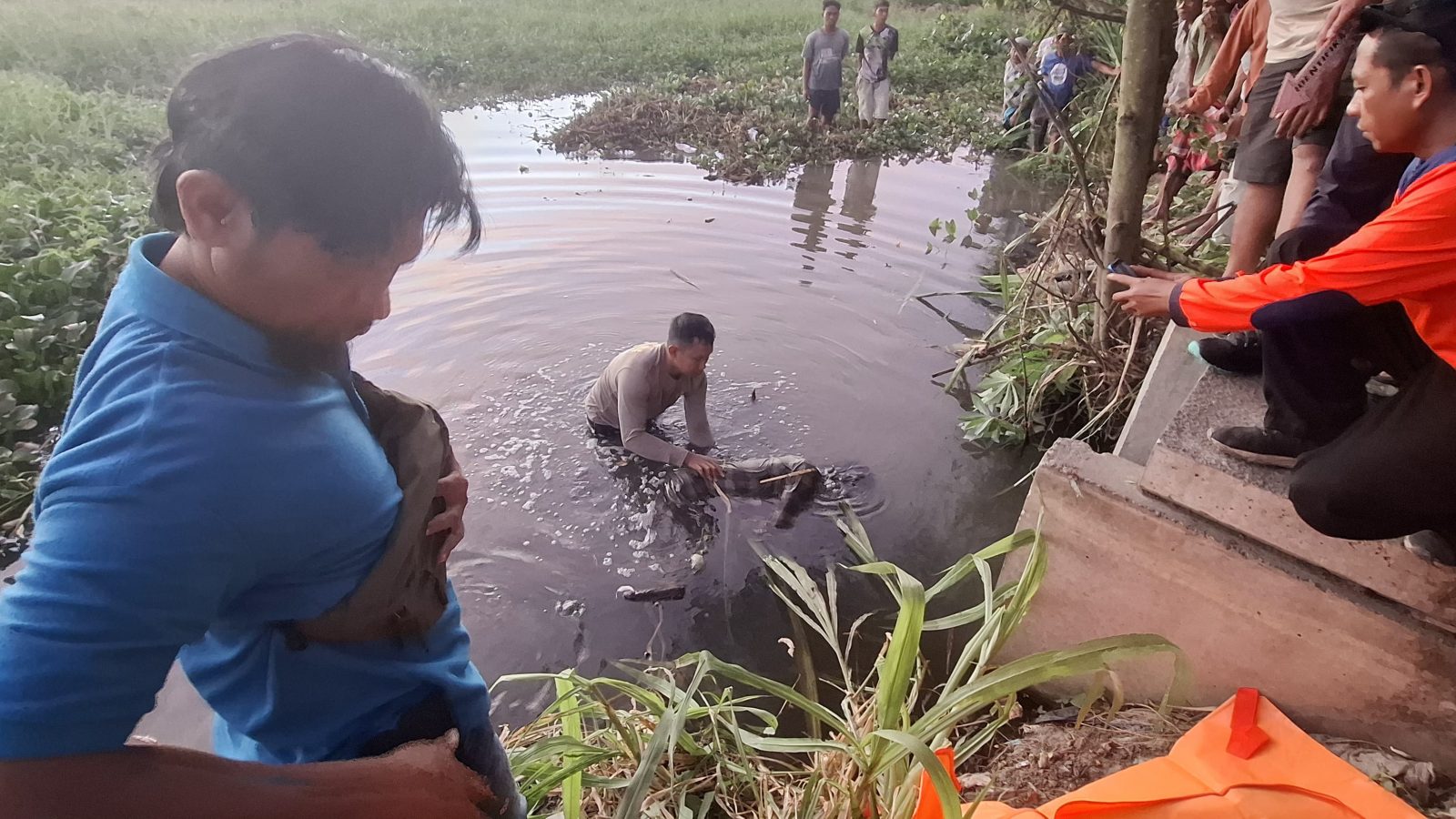 Polres Loteng Evakuasi Mayat di Sungai Kemulah