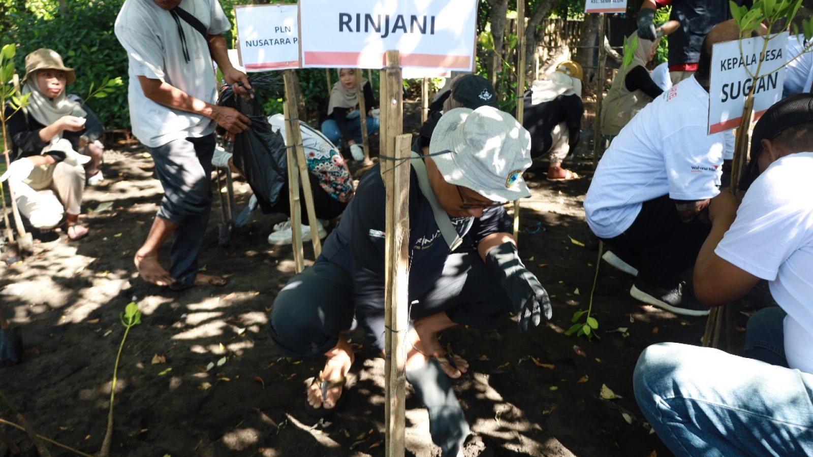Anak Muda Lombok Timur Lindungi Pesisir dengan Mangrove