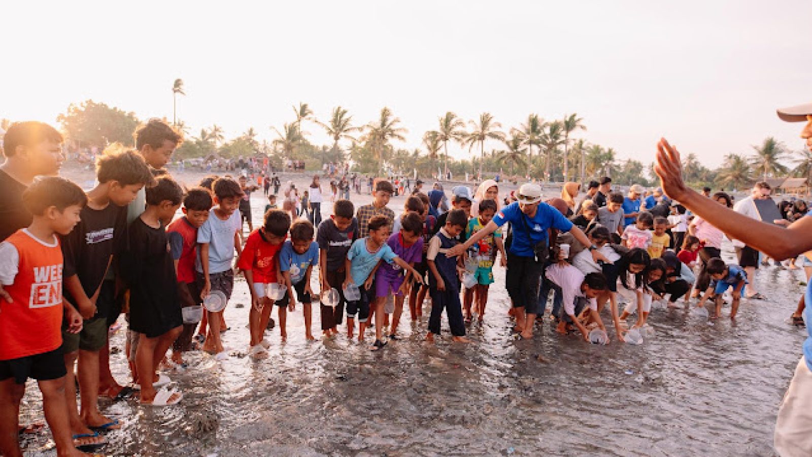 Ratusan Pengunjung Antusias Saksikan Combat Sport dan Pelepasan Tukik di Sunrise Land Lombok