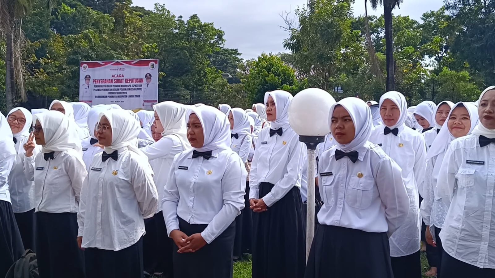 Berkurangnya Dana Transfer ke Daerah Berimbas Terhadap Insentif 11.008 PPPK Paruh Waktu