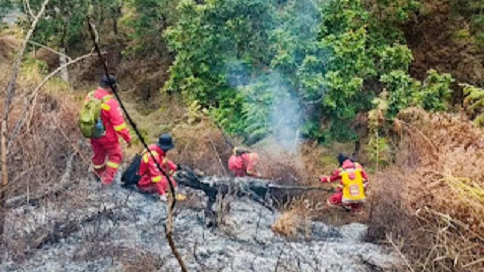 36 Hektar Lahan Kawasan TNGR Terbakar, Tim Gabungan Berjibaku Padamkan Api