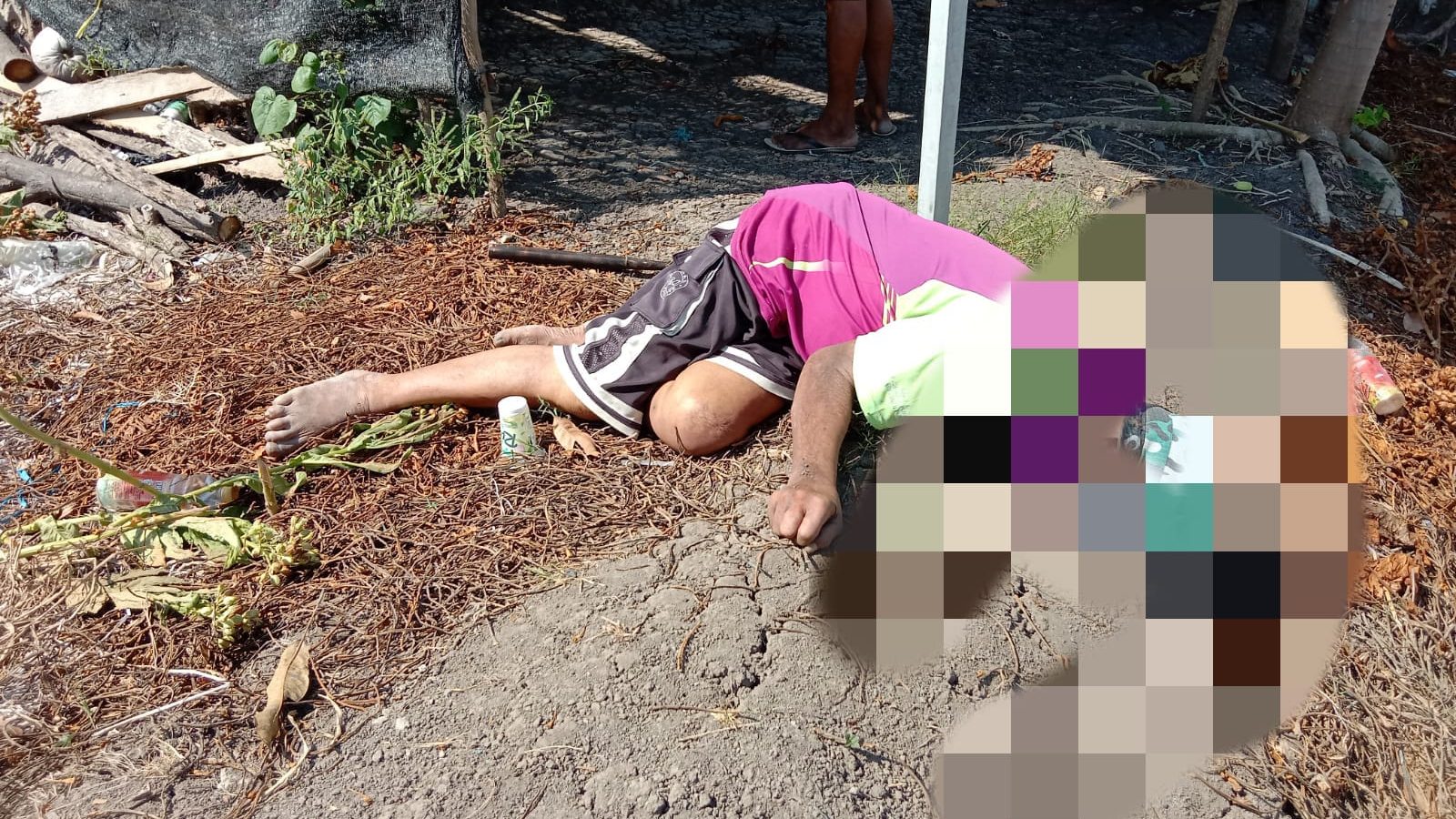 Lansia 70 Tahun Meninggal di Sawah, Ditemukan Pengembala Kambing