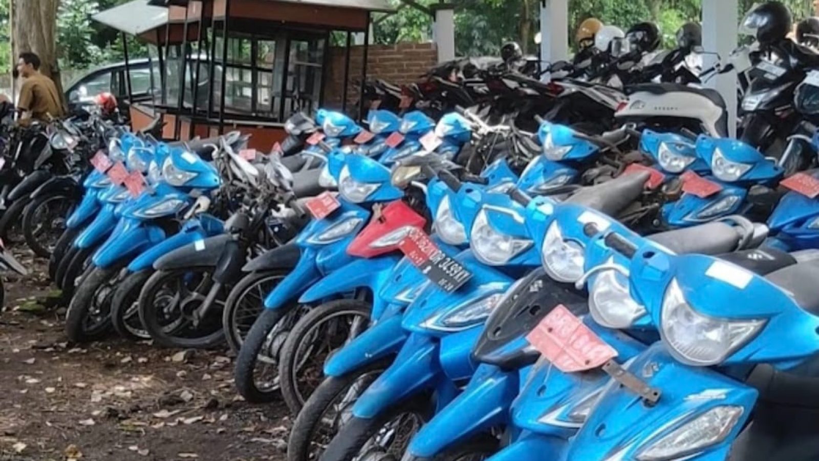 Ratusan Randis Pemkab Lotim Dilelang