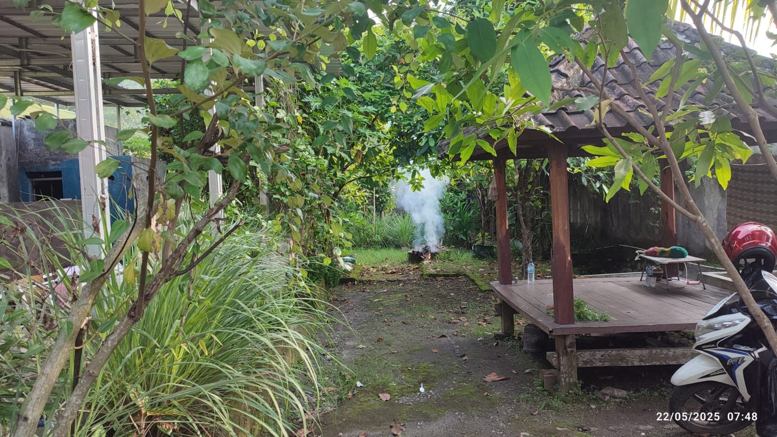 Healing di Kebun Ketika Hujan