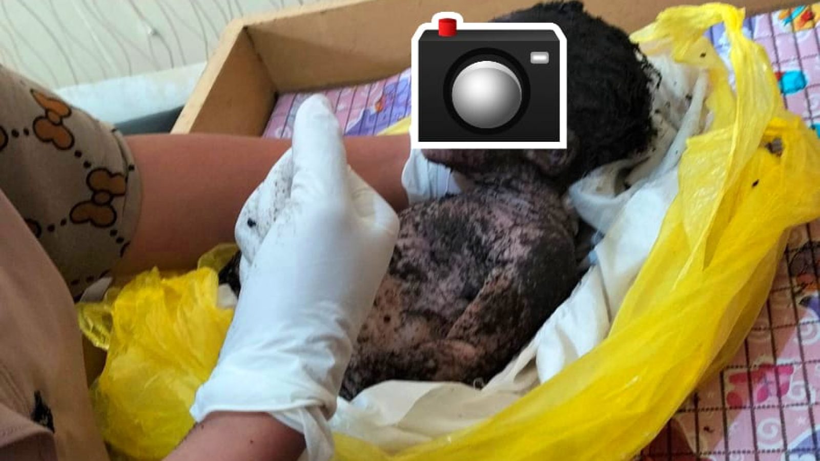 Dikira Bangkai Hewan, Pria Ini Kaget Ternyata yang Dilihat Jasad Bayi Berlumuran Lumpur