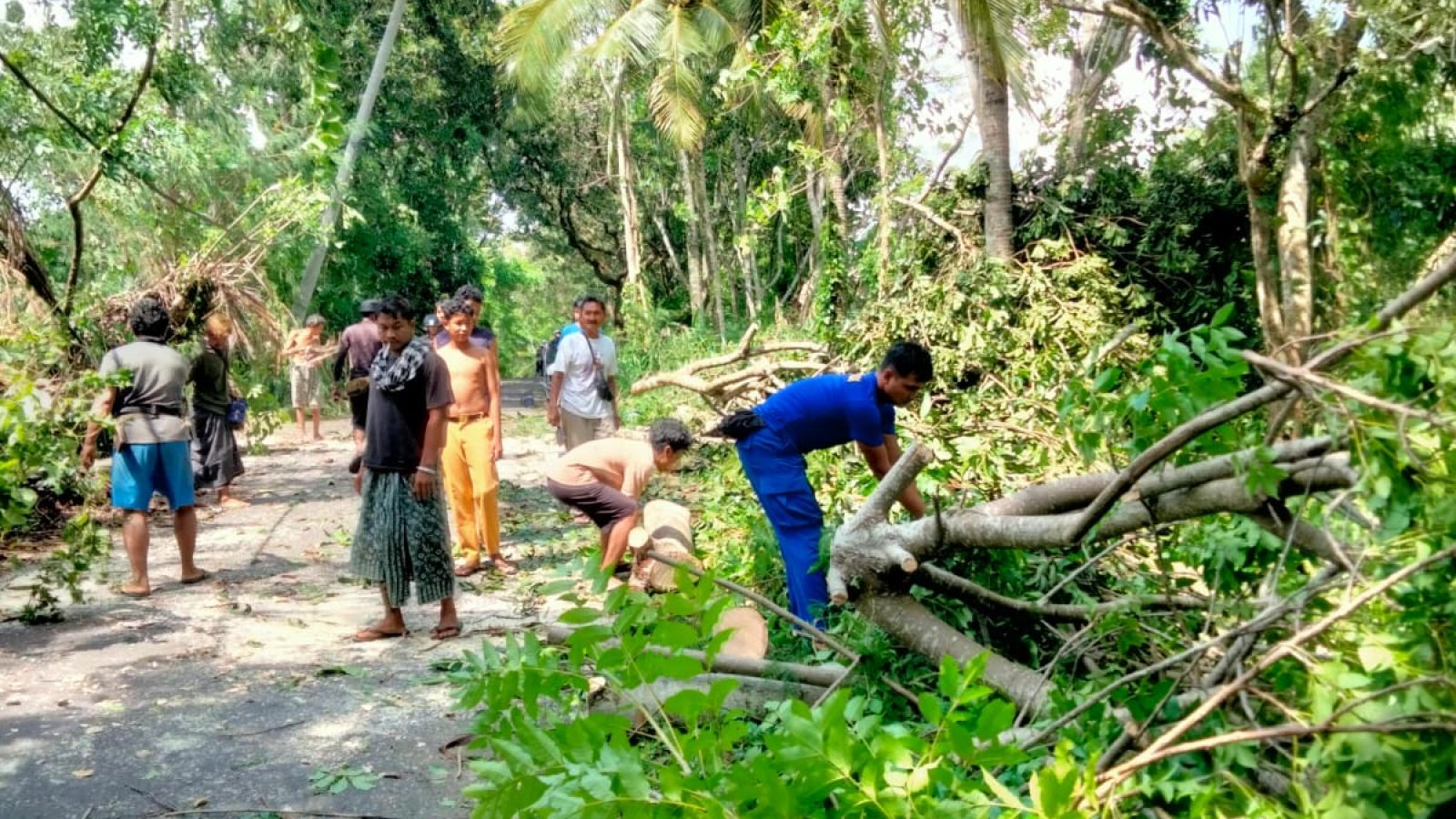 Ditpolairud Polda NTB Bantu Warga Singkirkan Pohon Tumbang di Lombok Barat