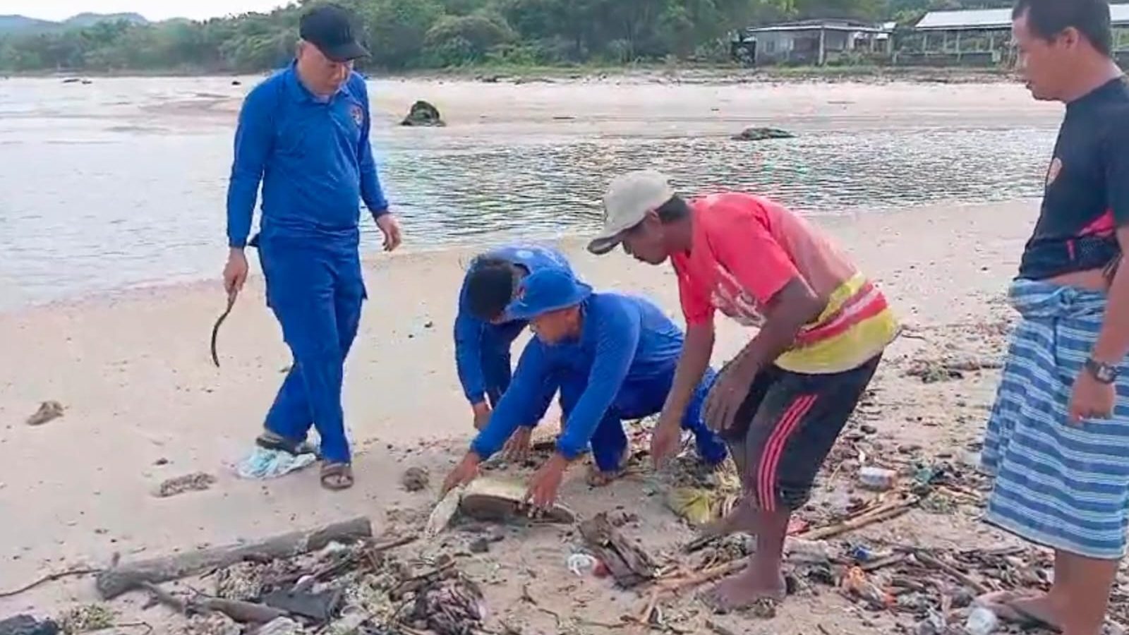 Bersih Pantai dan Selamatkan Penyu di Pantai Pasir Putih