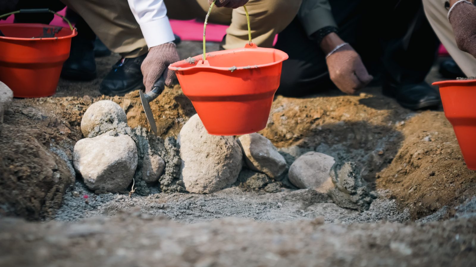 Perkuat Ketahanan Pangan Daerah NTB Bangun Industri Ayam Terintegrasi