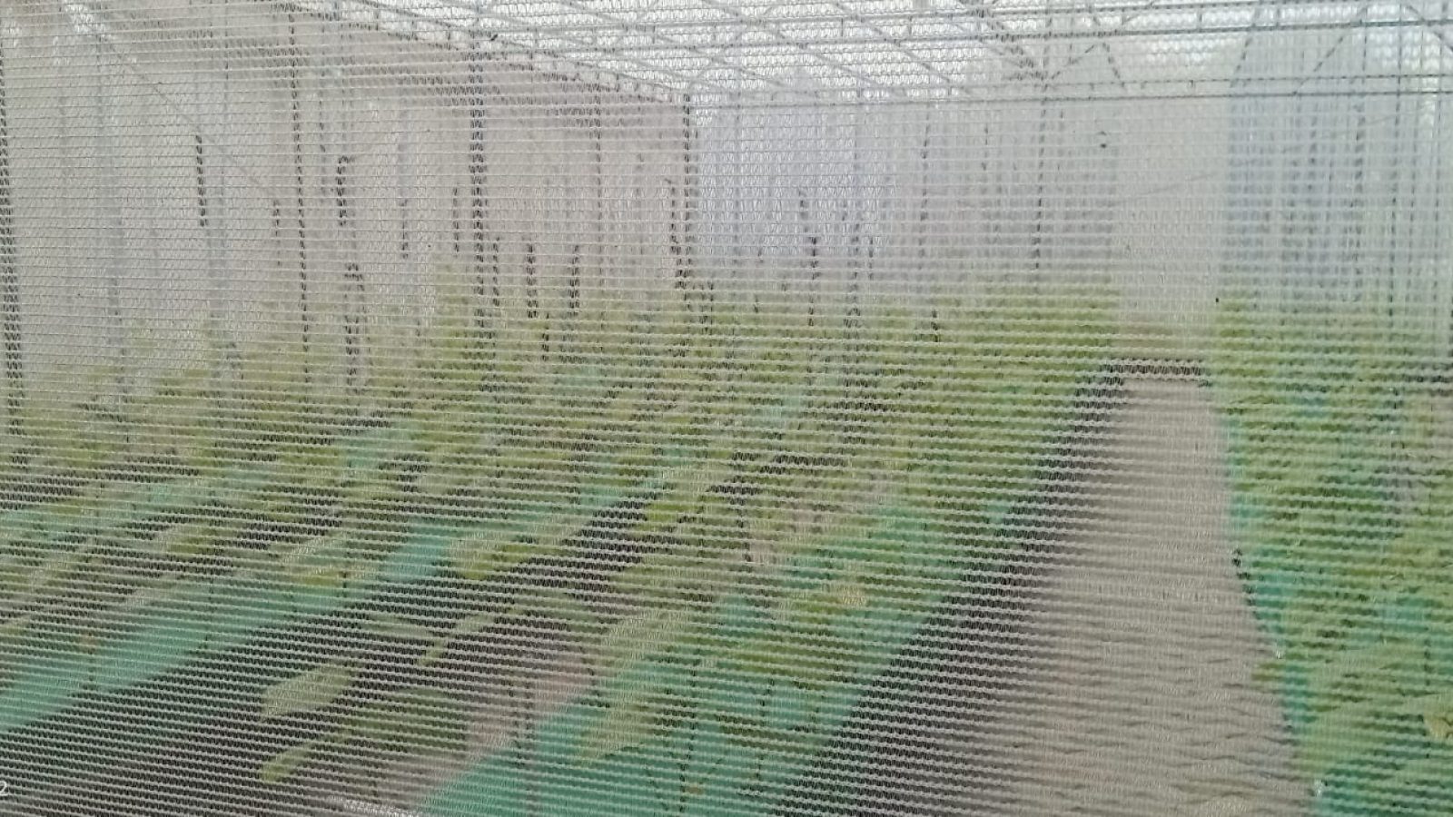 Dari HPN ke Happy End (7)