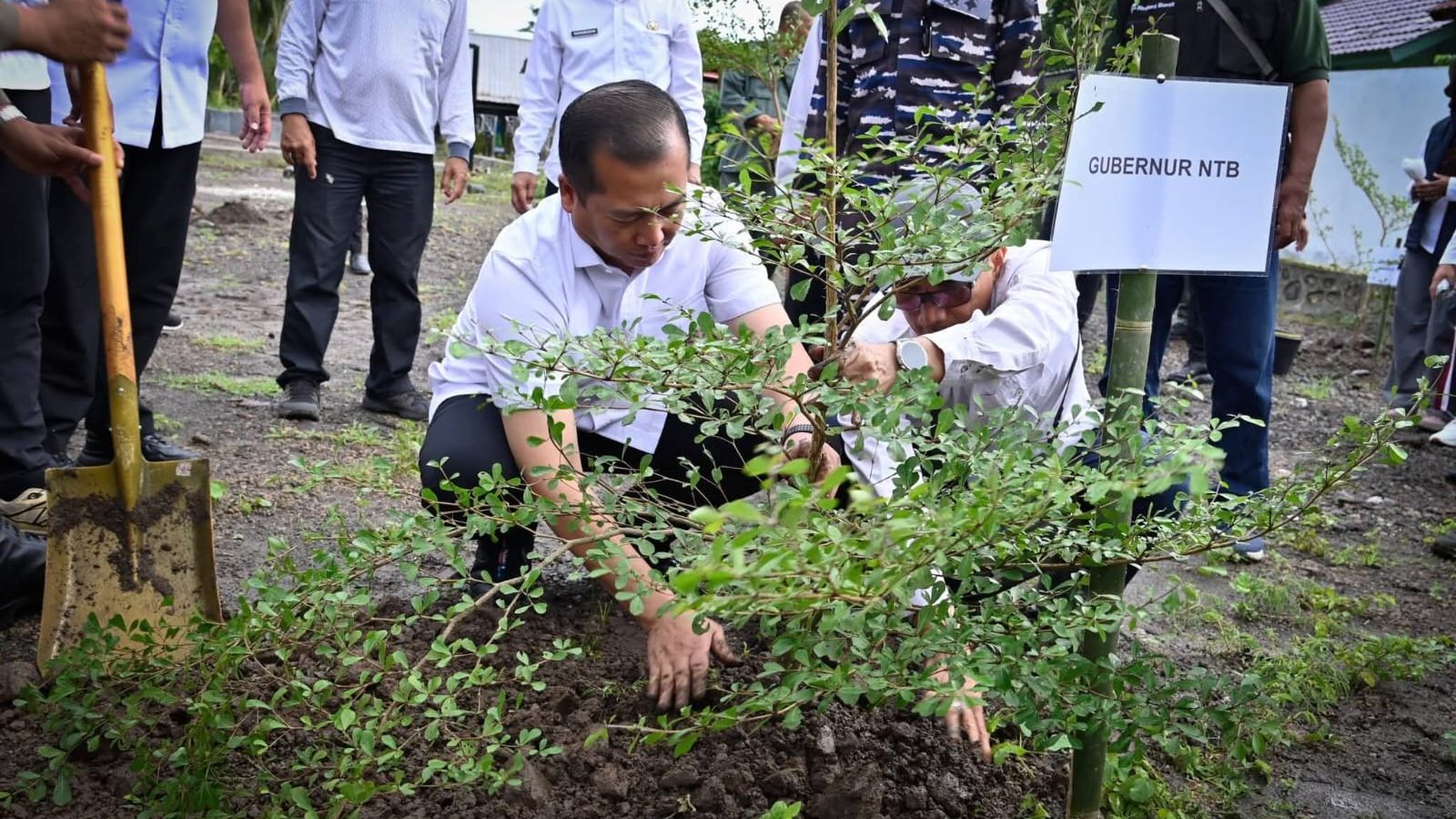 Gubernur NTB Tegaskan Kelestarian Hutan Prioritas Utama untuk Keberlanjutan Hidup