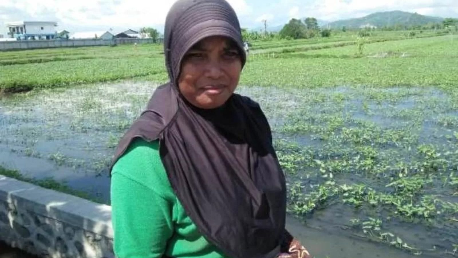 Petani di Mataram Rauf Belasan Juta Rupiah dari Kangkung