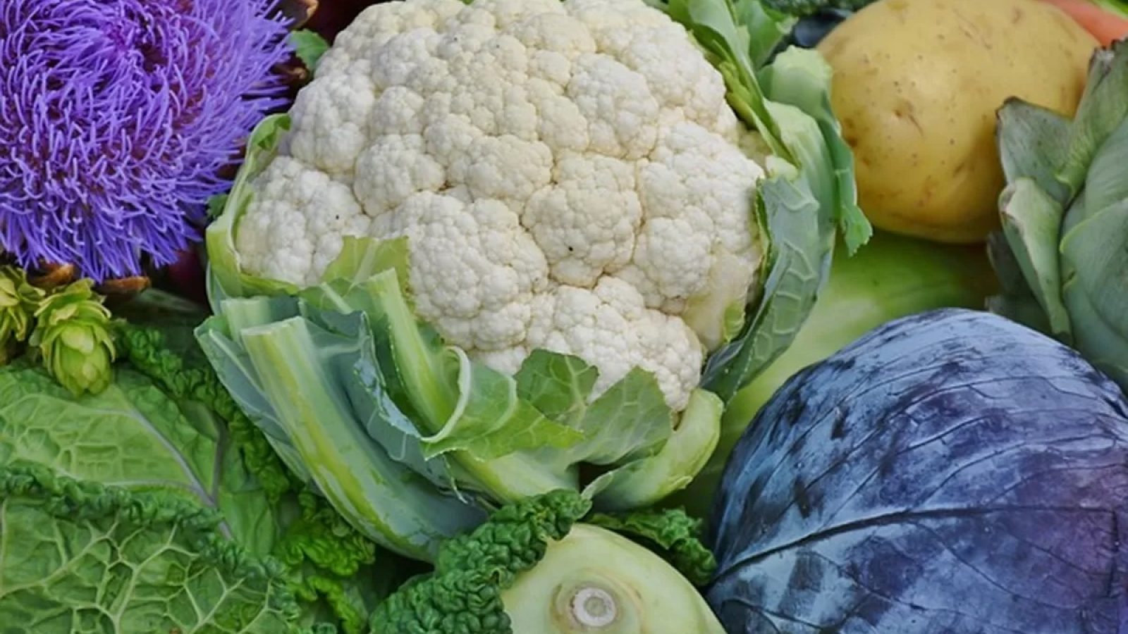 Sayur-Mayur, Usaha Tani Menjanjikan di Lombok Barat Jelang Perayaan Idul Fitri