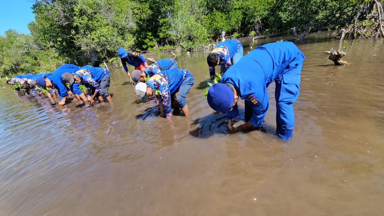 Sahabat Polairud NTB Beraksi: Tanam Mangrove dan Bersih Pantai di Poto Tano