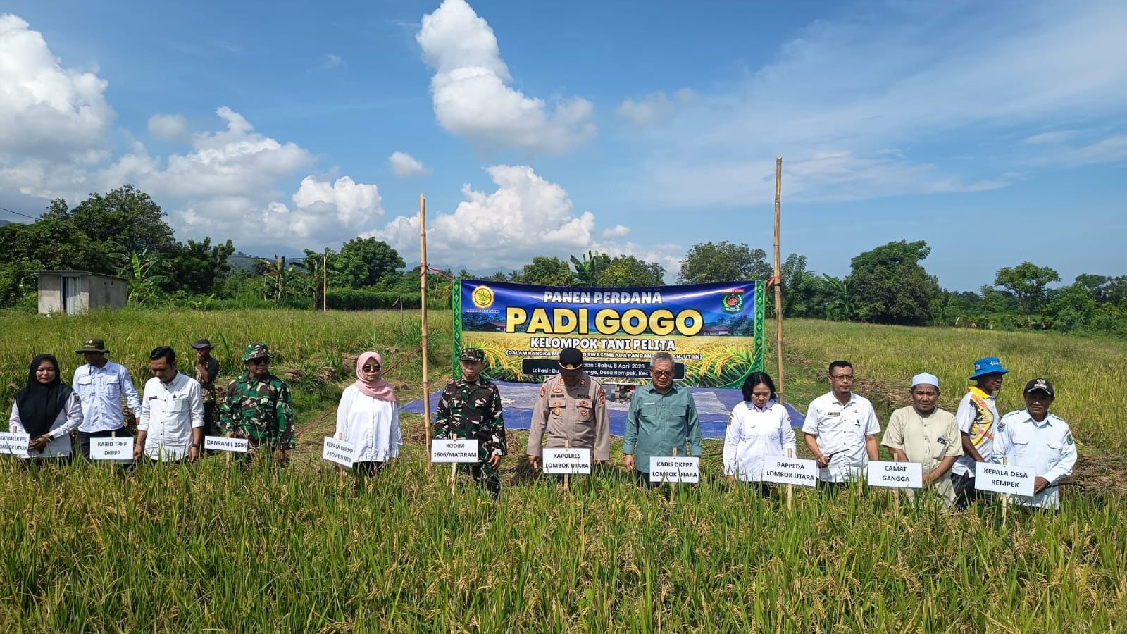 Panen Raya Perdana Padi Gogo di Lombok Utara, Langkah Menuju Swasembada Pangan Berkelanjutan