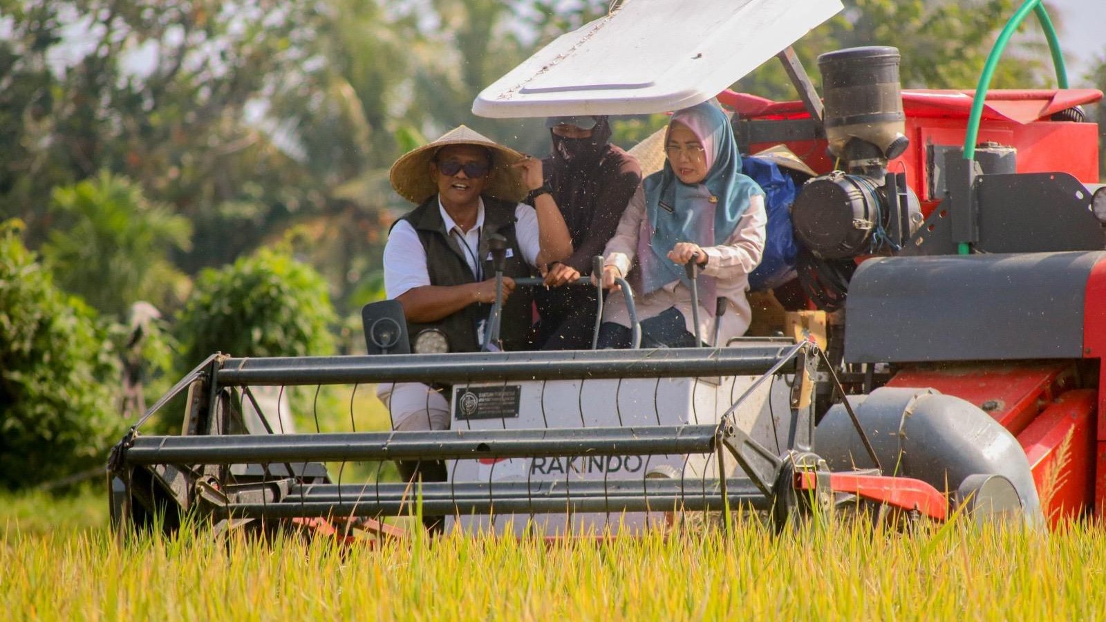 Tahun ini, Perum Bulog NTB Targekan Serapan 249.661 Ton Beras
