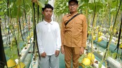 Budidaya Melon Hidroponik Midang, Berharap Jadi Desa Agrowisata Lombok Barat