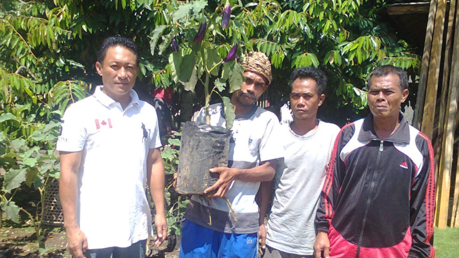 Bibit Madura, Tiga Varietas Unggulan Lombok Barat yang Menasional